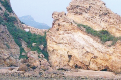 L(fng)rɰʡסdoֹ֪ͨʹL(fng)rC(j)ɰ